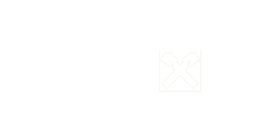 Raiffeisen Immobilien Logo