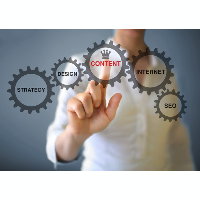 Fokus Website Content