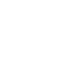 Plenus Logo