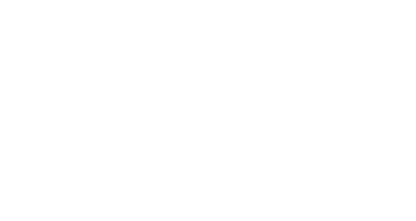 BWSG Logo