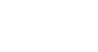 Steinringer Logo