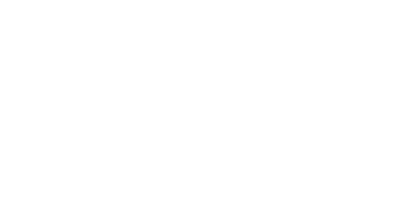 Wagner Holding Logo